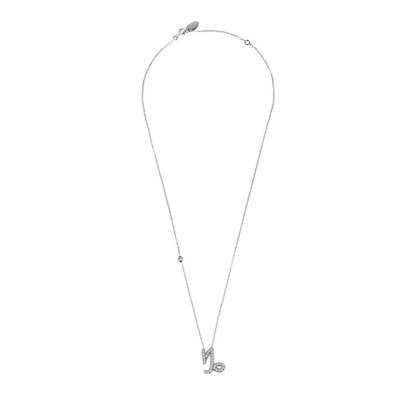Celestia Luxe Necklace: Ambitious Capricorn (Silver)